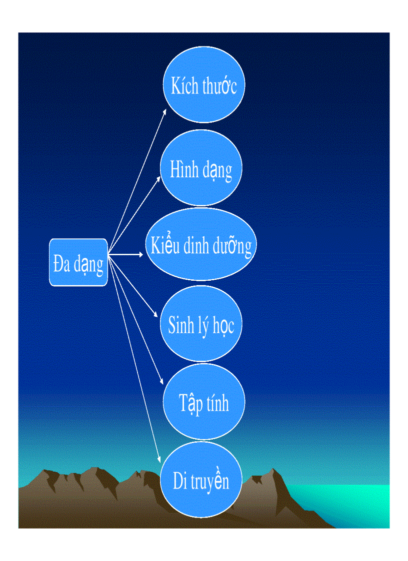 image for page Protozoa Động vật nguyên sinh