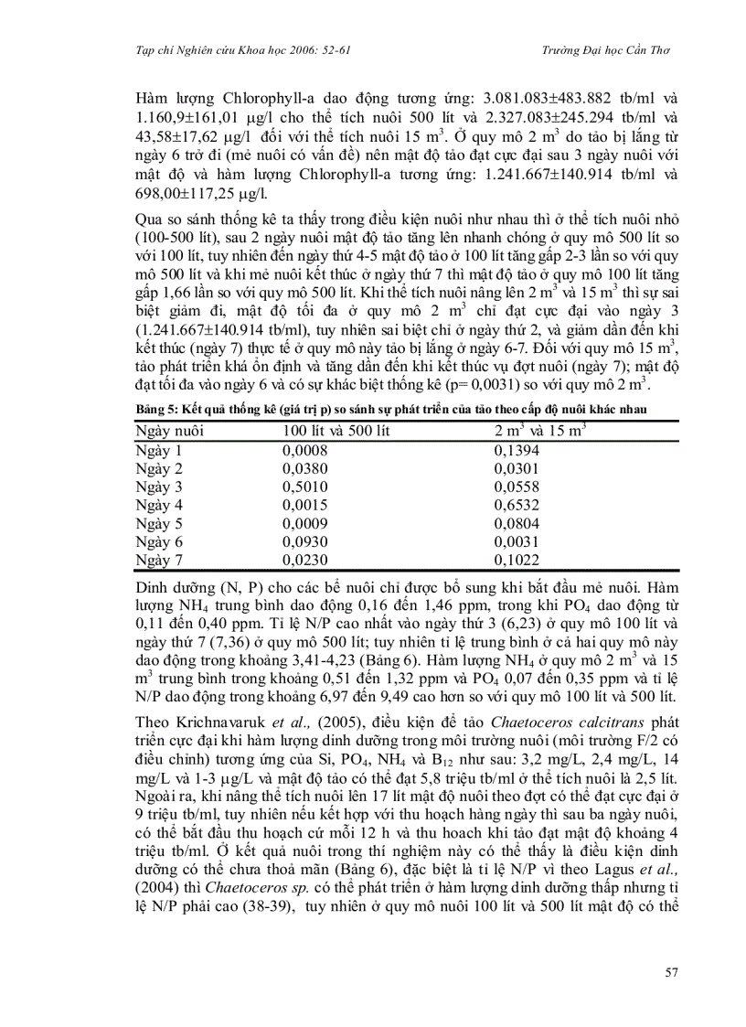 image for page Nuôi tảo Chaetoceros sp làm nguồn thức ăn cho hệ thống ao nuôi artemia