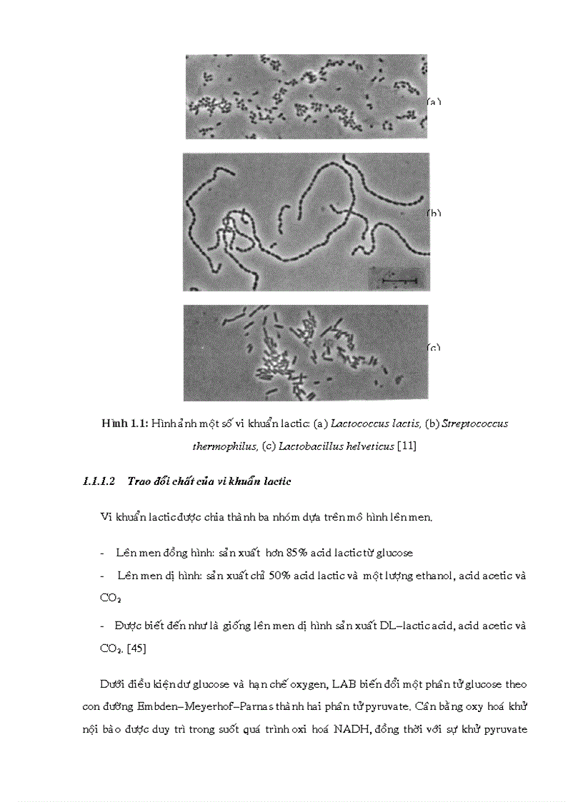 image for page Phân lập chủng vi khuẩn lactic và khảo sát khả năng sinh tổng hợp bacterioncin