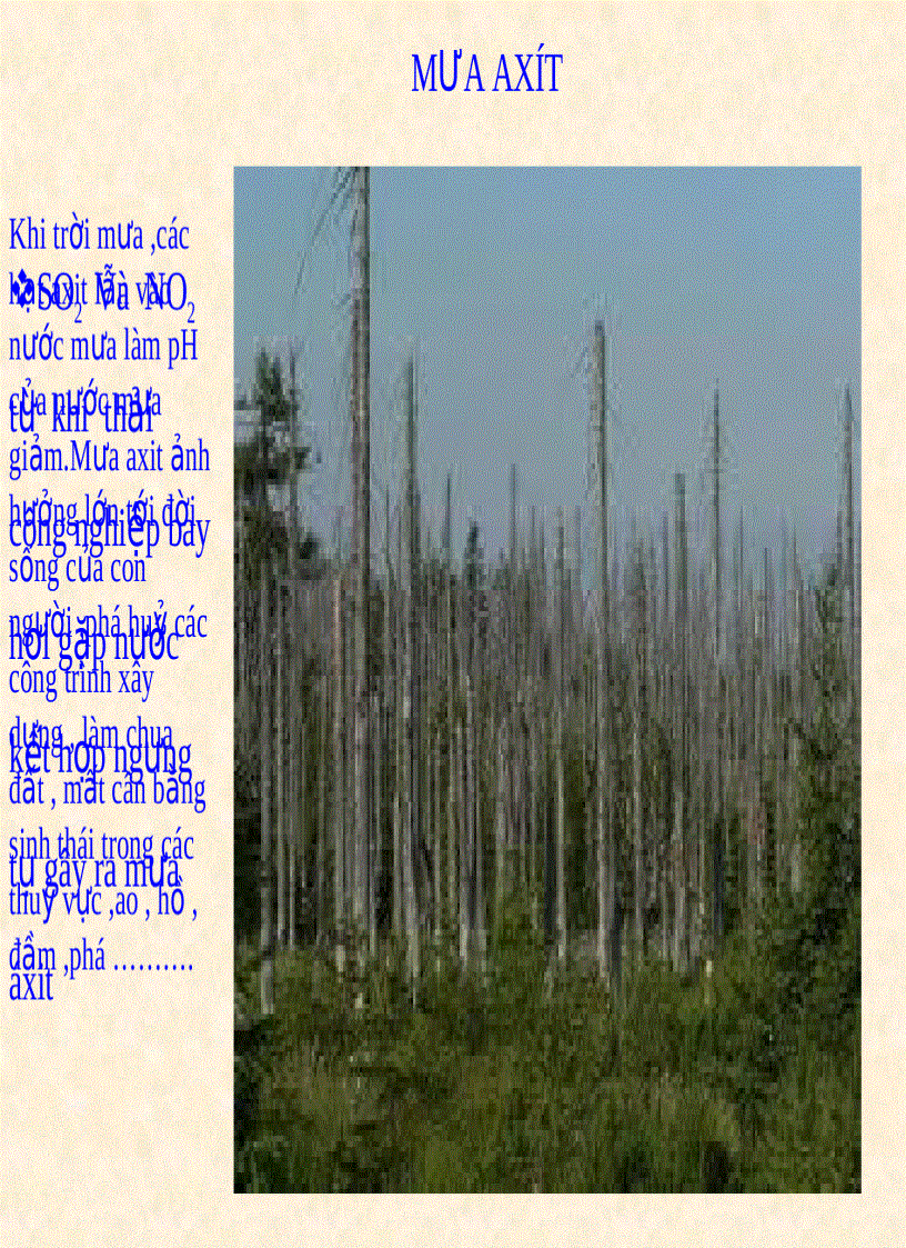 image for page Môi trường và bảo vệ môi trường