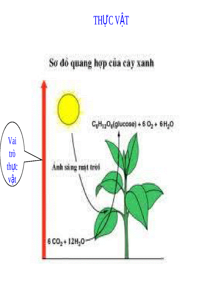image for page Môi trường và bảo vệ môi trường