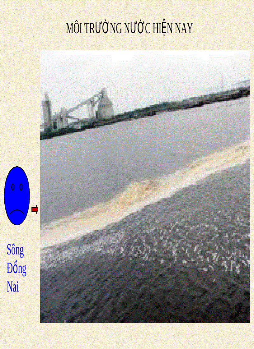 image for page Môi trường và bảo vệ môi trường