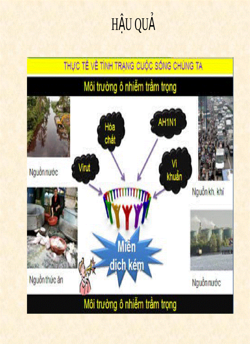 image for page Môi trường và bảo vệ môi trường