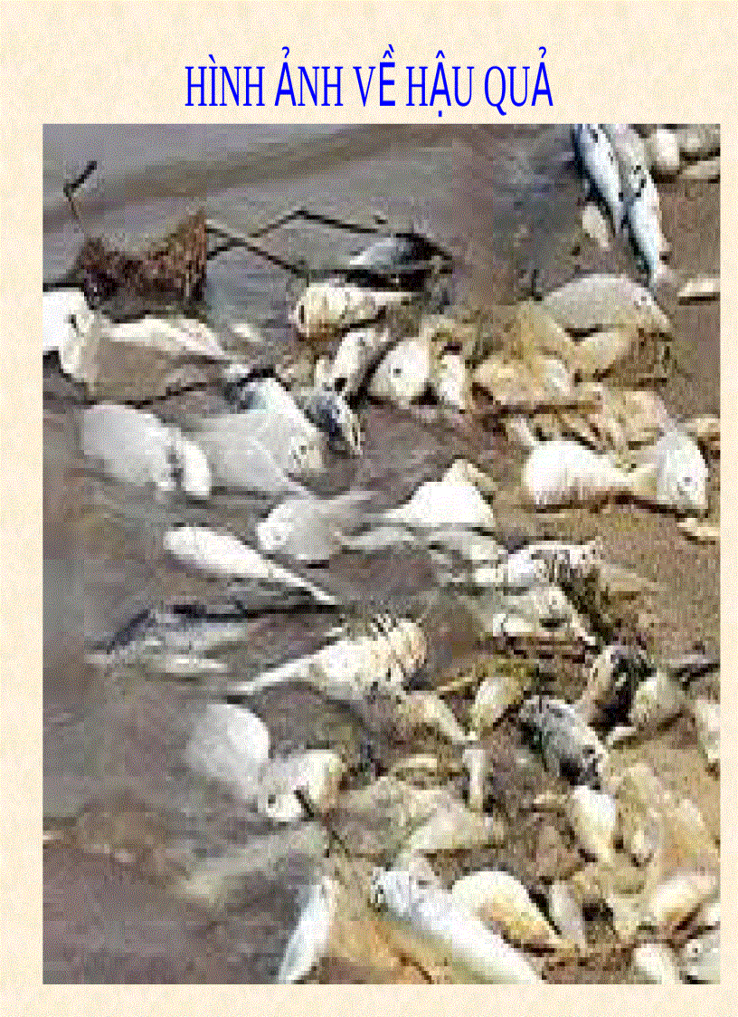 image for page Môi trường và bảo vệ môi trường