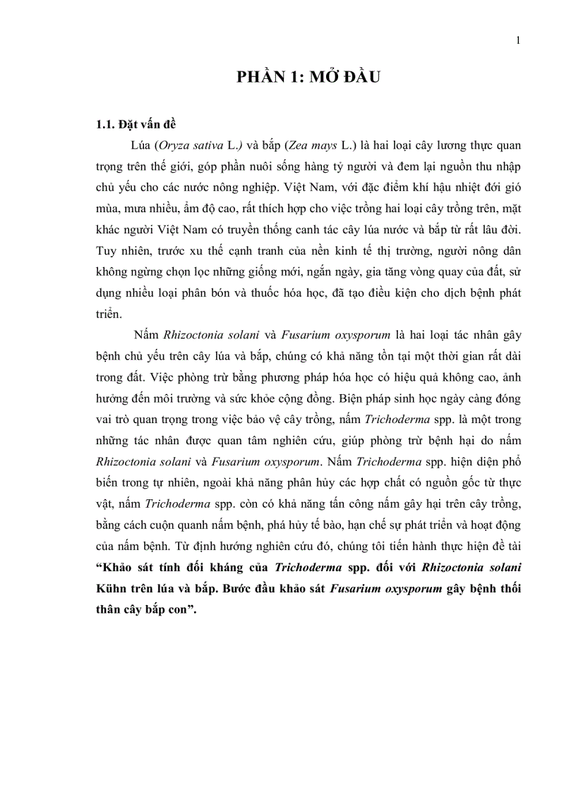 image for page Khảo sát tính đối kháng của nấm Trichoderma spp đối với Rhizoctonia solani Fusarium oxysporum gây bệnh trên cây lúa và bắp