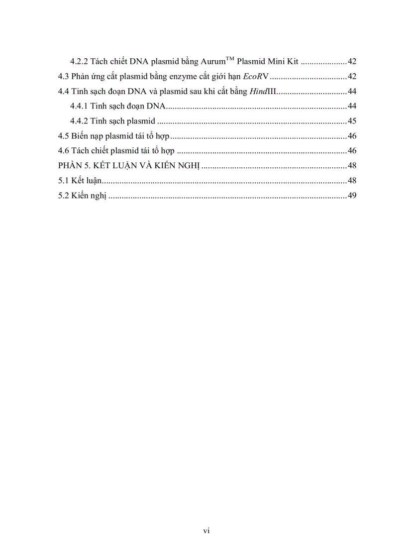 image for page HOÀN THIỆN QUY TRÌNH BIẾN NẠP ĐOẠN DNA VÀO TẾ BÀO VI KHUẨN E coli DH5α
