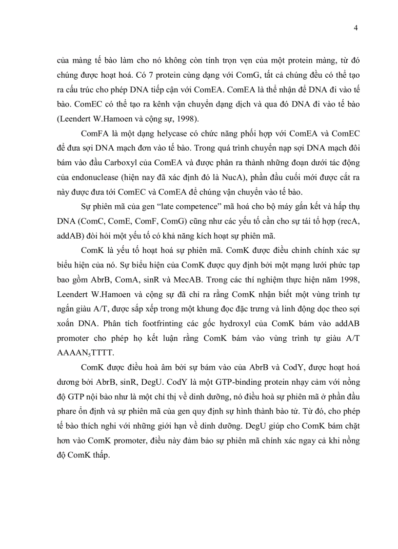 image for page HOÀN THIỆN QUY TRÌNH BIẾN NẠP ĐOẠN DNA VÀO TẾ BÀO VI KHUẨN E coli DH5α