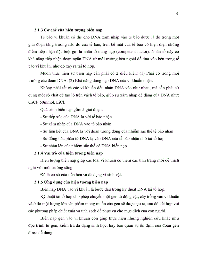 image for page HOÀN THIỆN QUY TRÌNH BIẾN NẠP ĐOẠN DNA VÀO TẾ BÀO VI KHUẨN E coli DH5α