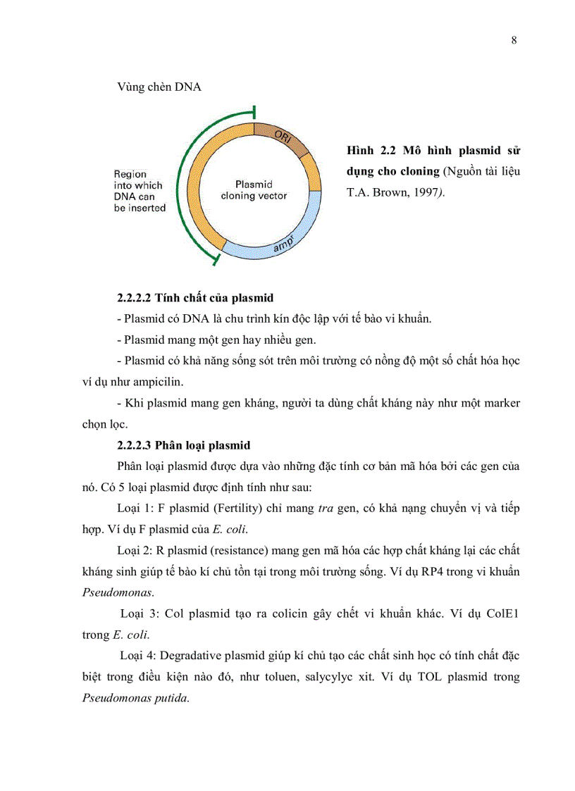 image for page HOÀN THIỆN QUY TRÌNH BIẾN NẠP ĐOẠN DNA VÀO TẾ BÀO VI KHUẨN E coli DH5α