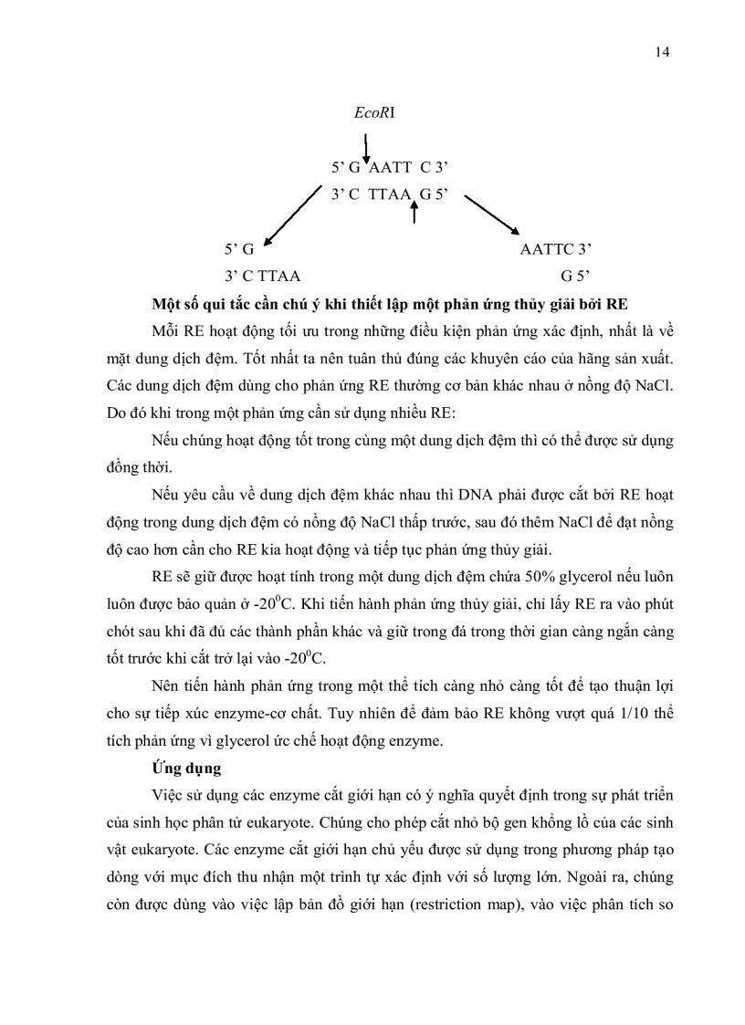 image for page HOÀN THIỆN QUY TRÌNH BIẾN NẠP ĐOẠN DNA VÀO TẾ BÀO VI KHUẨN E coli DH5α
