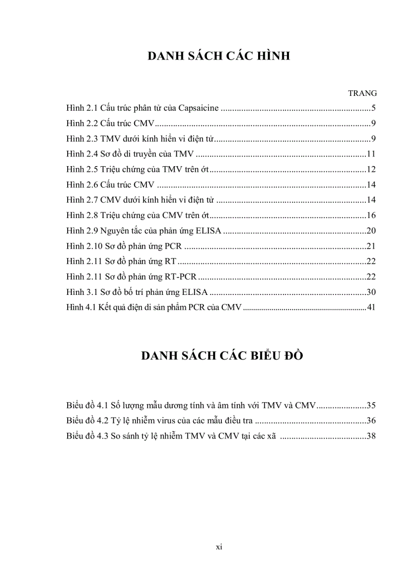 image for page Nghiên cứu virus tmv cmv gây bệnh trên cây ớt tại huyện củ chi tp Hồ chí minh bằng kỹ thuật elisa và xây dựng quy trình phát hiện cmv bằng kỹ thuật rt pcr