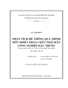 Phân tích hệ thống quá trình đốt nhiệt phân chất thải rắn công nghiệp đặc trưng tóm tắt