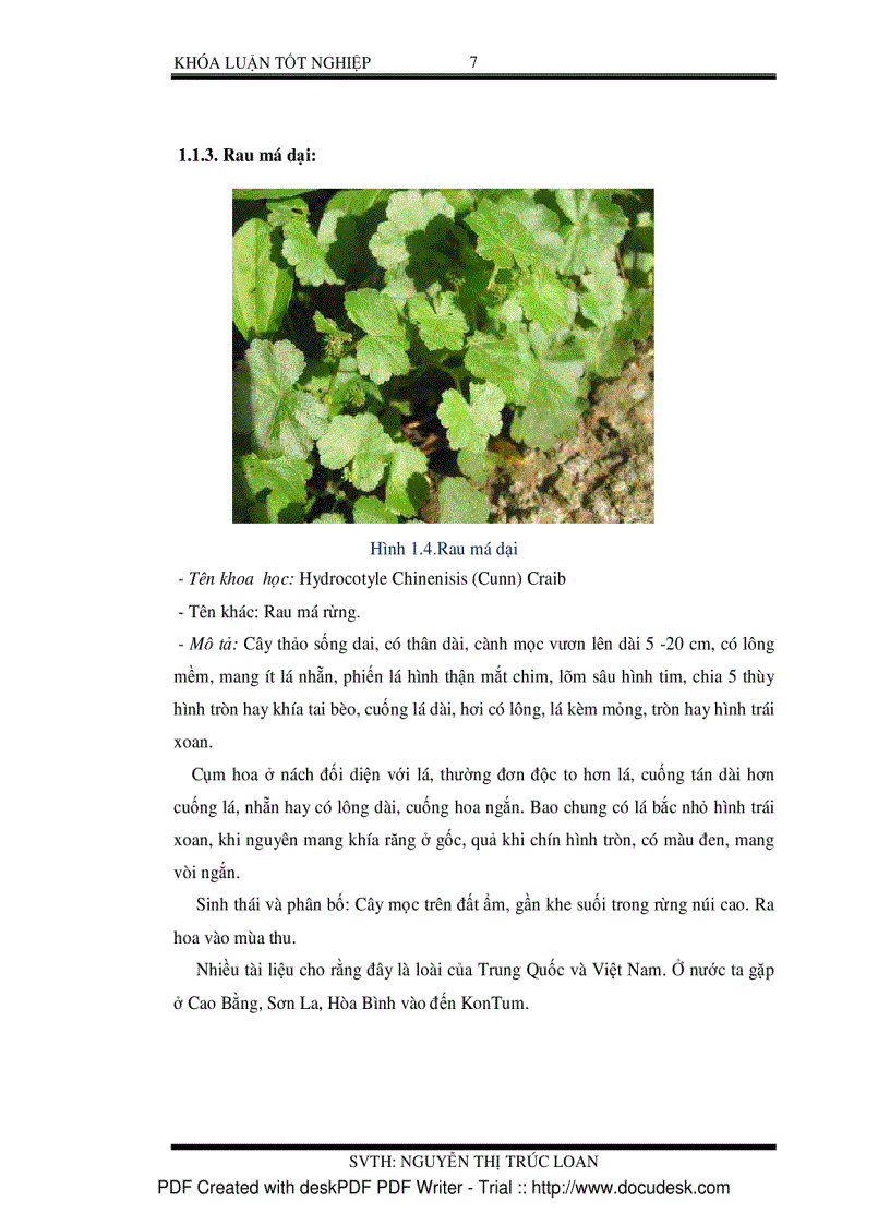 image for page Ly trích tinh dầu của cây rau má