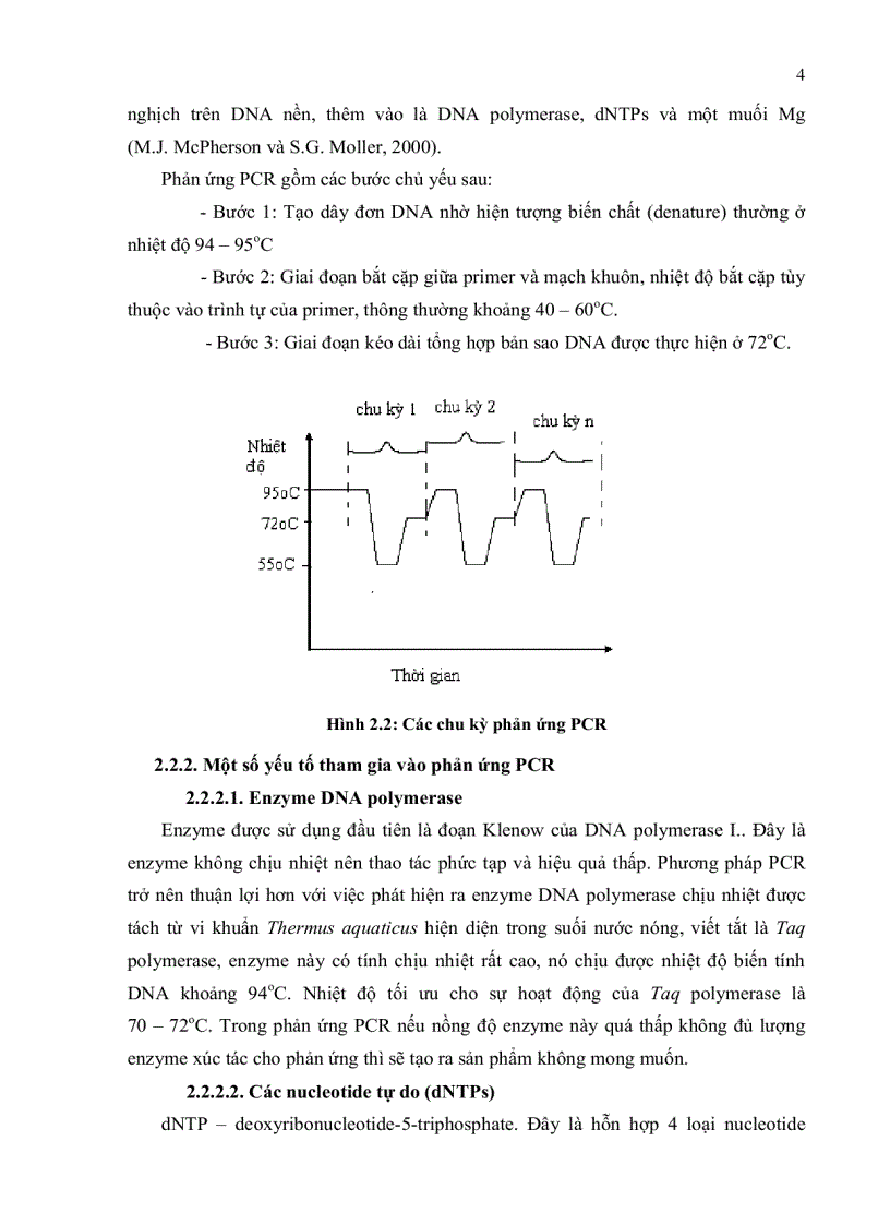 image for page Tổng hợp và tạo dòng phân tử gen interferon alpha 2a