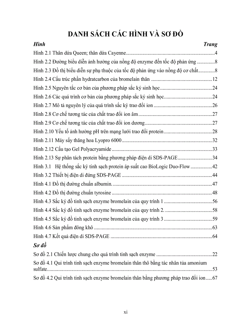 image for page Tinh sạch enzyme bromelain từ thân dứa Ananas comosus L Merr bằng phương pháp sắc ký trao đổi ion