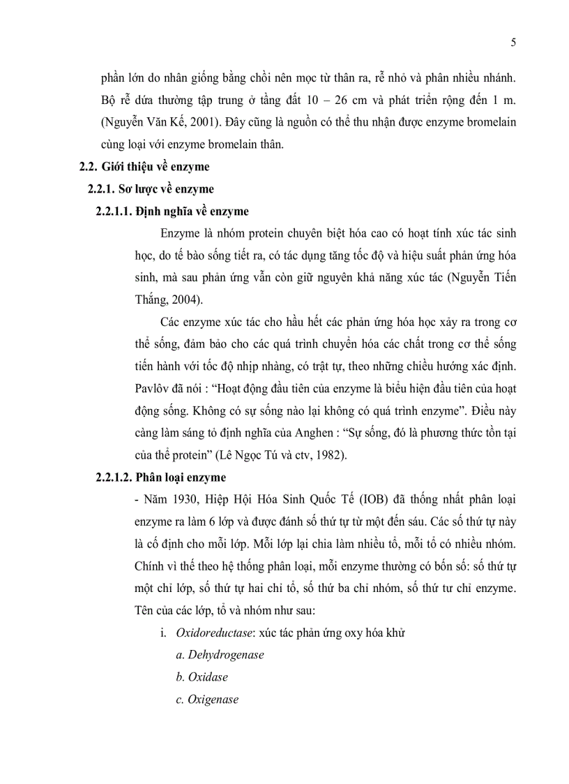 image for page Tinh sạch enzyme bromelain từ thân dứa Ananas comosus L Merr bằng phương pháp sắc ký trao đổi ion