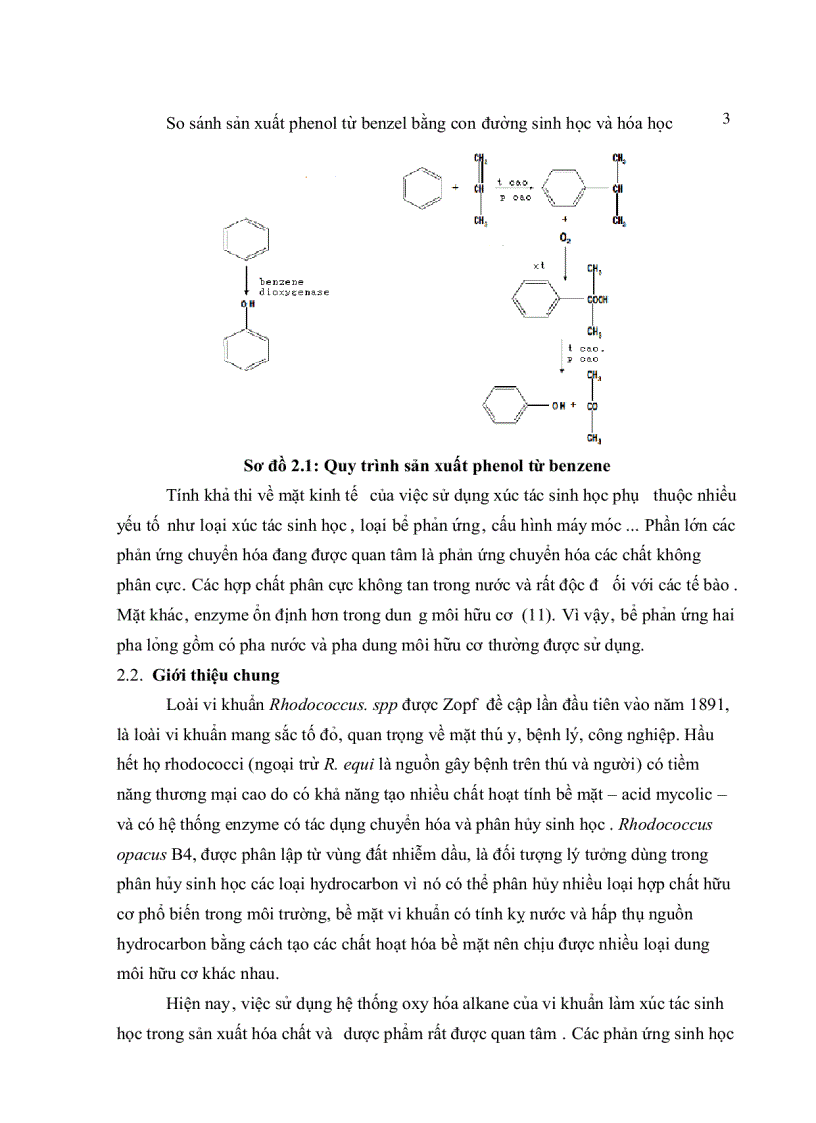 image for page Chuyển Plasmid chứa gene alkabk1 alkabk2 vào Rhodococcus opacus B4 để tăng năng suất tạo enzyme n alkane monoxygenase