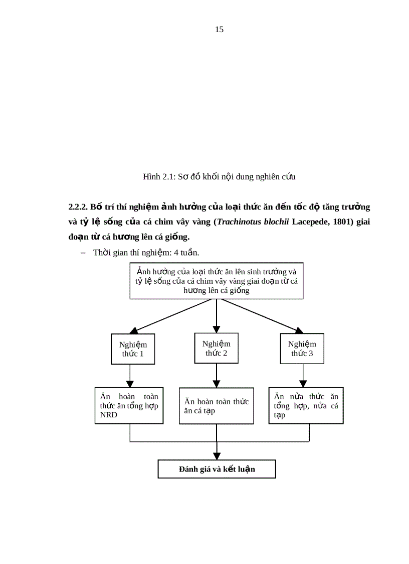 image for page Tìm hiểu kỹ thuật ương giống cá chim vây vàng Trachinotus blochii Lacepede 1801 tại Trại Thực nghiệm sản xuất Hải sản Vĩnh Hòa Nha Trang