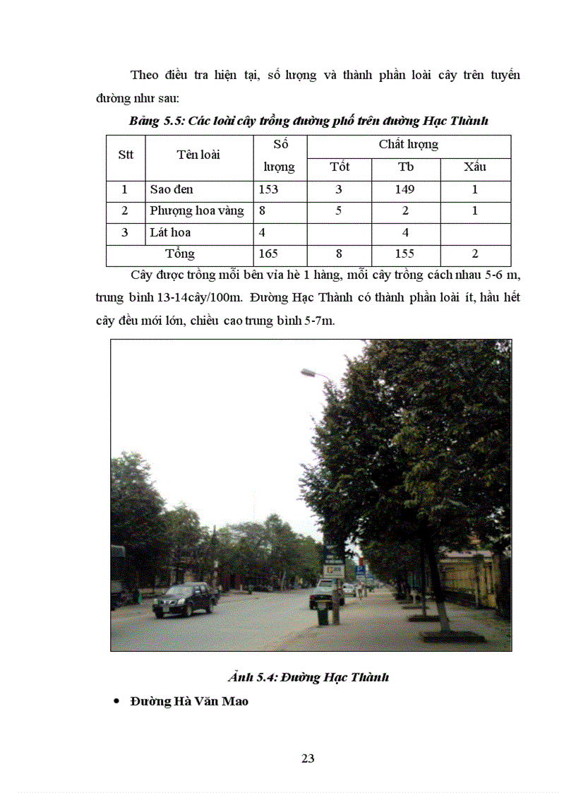 image for page Nghiên cứu đề xuất quy hoạch cây xanh đường phố và bảo vệ mt cho hệ thống cây xanh tp Thanh Hóa