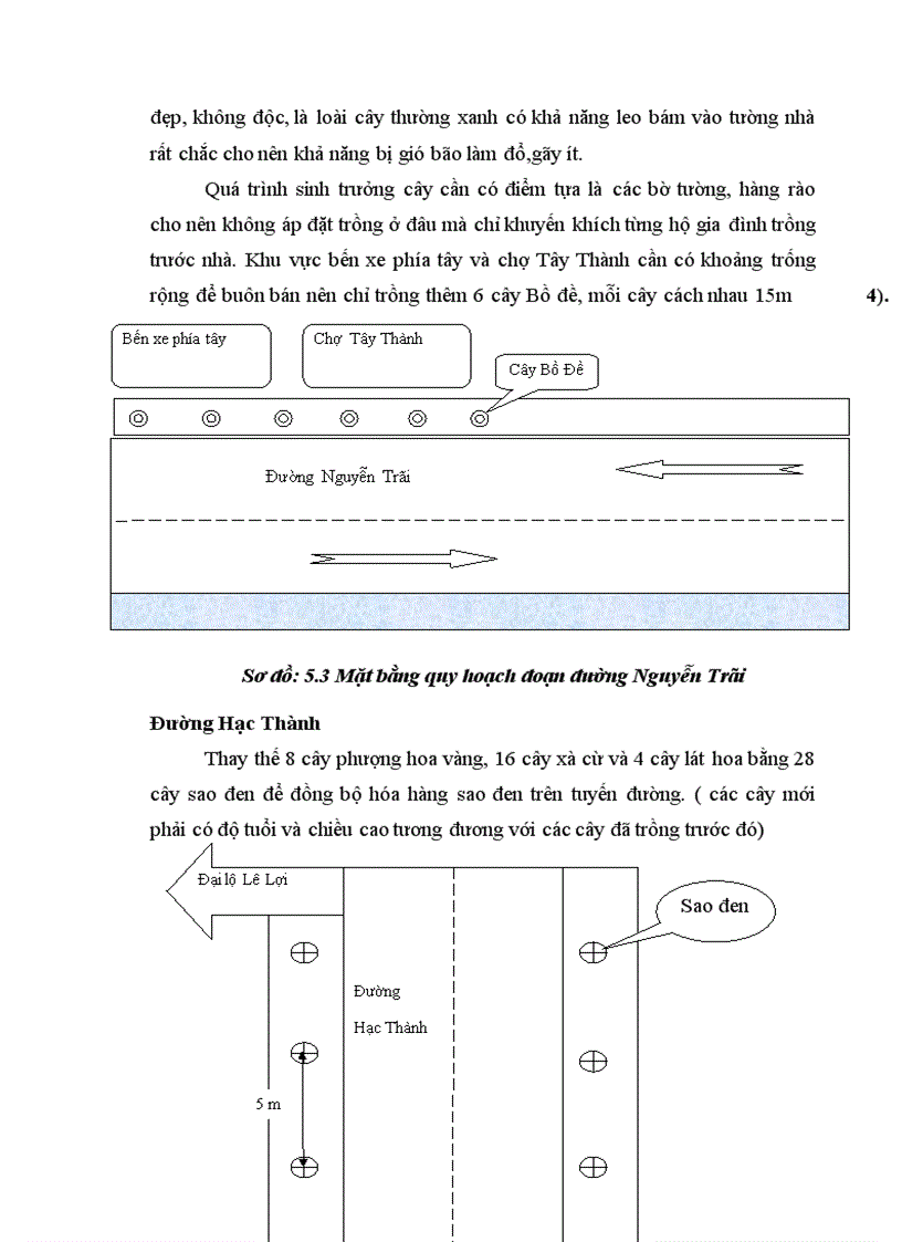 image for page Nghiên cứu đề xuất quy hoạch cây xanh đường phố và bảo vệ mt cho hệ thống cây xanh tp Thanh Hóa