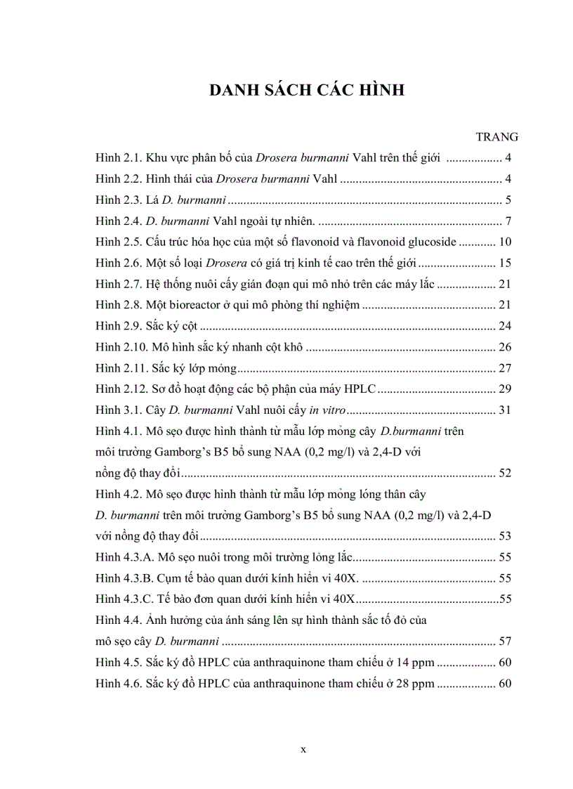 image for page Khảo sát khả năng ứng dụng kỹ thuật nuôi cấy mô sẹo tạo dịch huyền phù cây Drosera burmanni Vahl trong thu nhận hợp chất anthraquinone