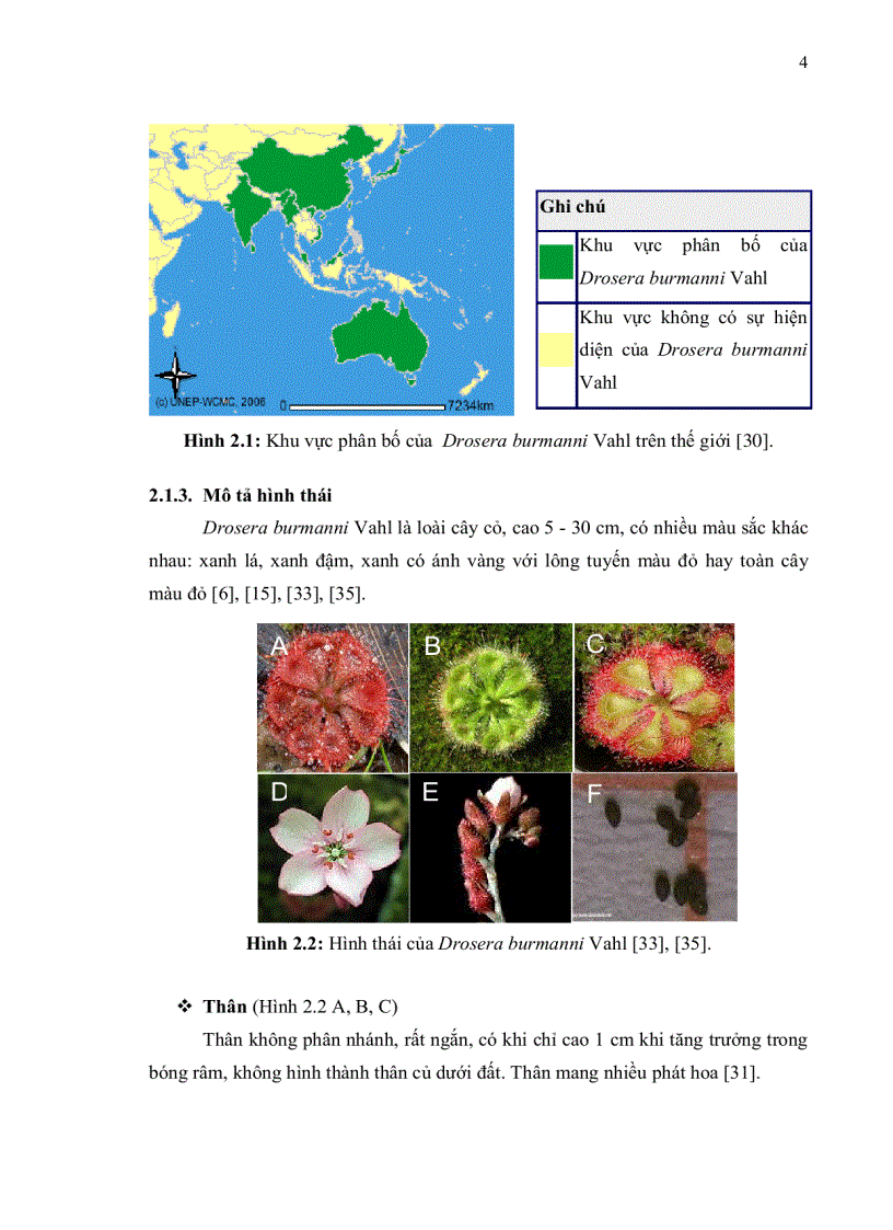 image for page Khảo sát khả năng ứng dụng kỹ thuật nuôi cấy mô sẹo tạo dịch huyền phù cây Drosera burmanni Vahl trong thu nhận hợp chất anthraquinone