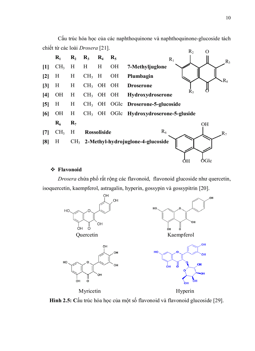 image for page Khảo sát khả năng ứng dụng kỹ thuật nuôi cấy mô sẹo tạo dịch huyền phù cây Drosera burmanni Vahl trong thu nhận hợp chất anthraquinone