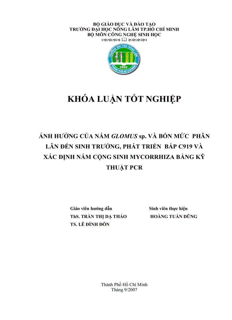 Ảnh hưởng của nấm Glomus sp và bốn mức phân lân đến sinh trưởng phát triển của bắp C919 và xác định nấm cộng sinh bằng kỹ thuật PCR