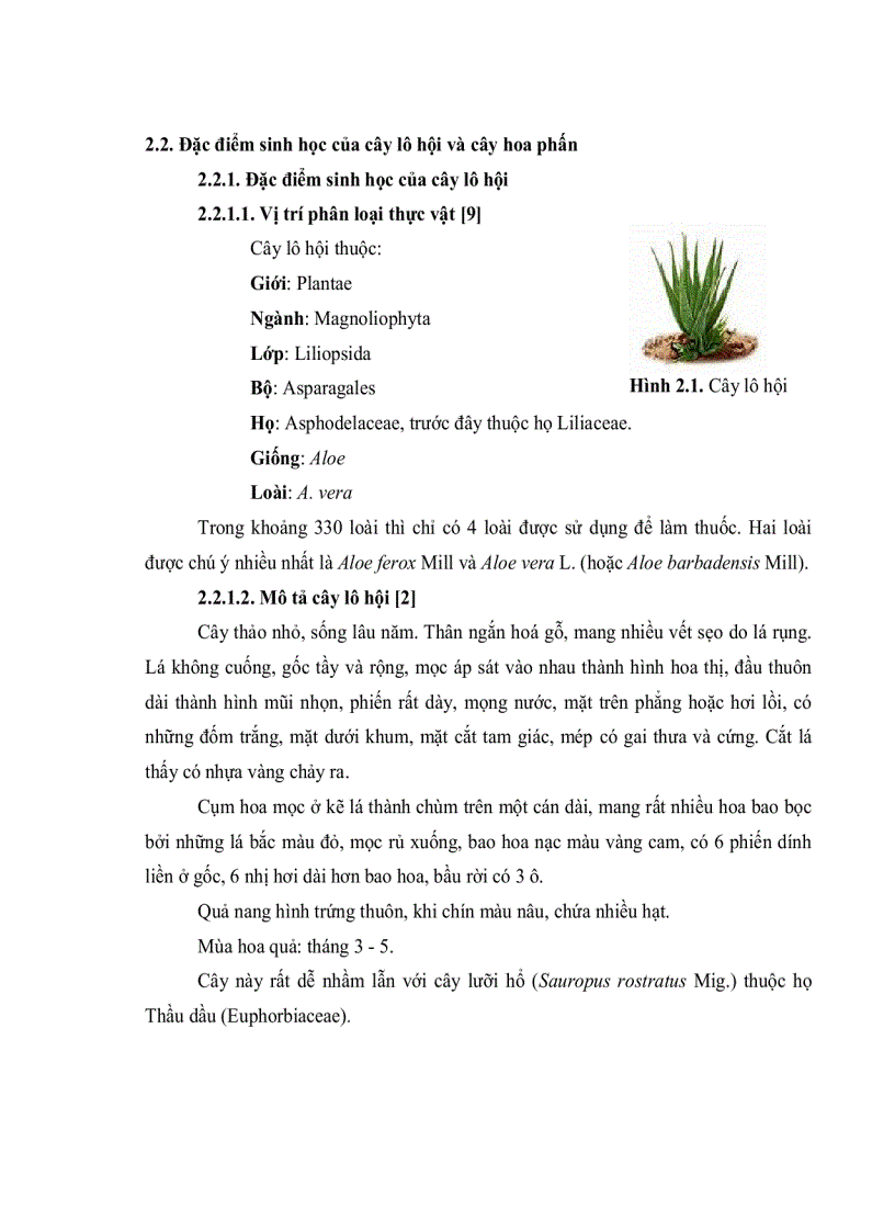 image for page Khảo sát hoạt tính kháng khuẩn và kháng nấm của các chất chiết thô từ cây lô hội Aloe vera và cây hoa phấn Mirabilis jalapa L nuôi cấy in vitro