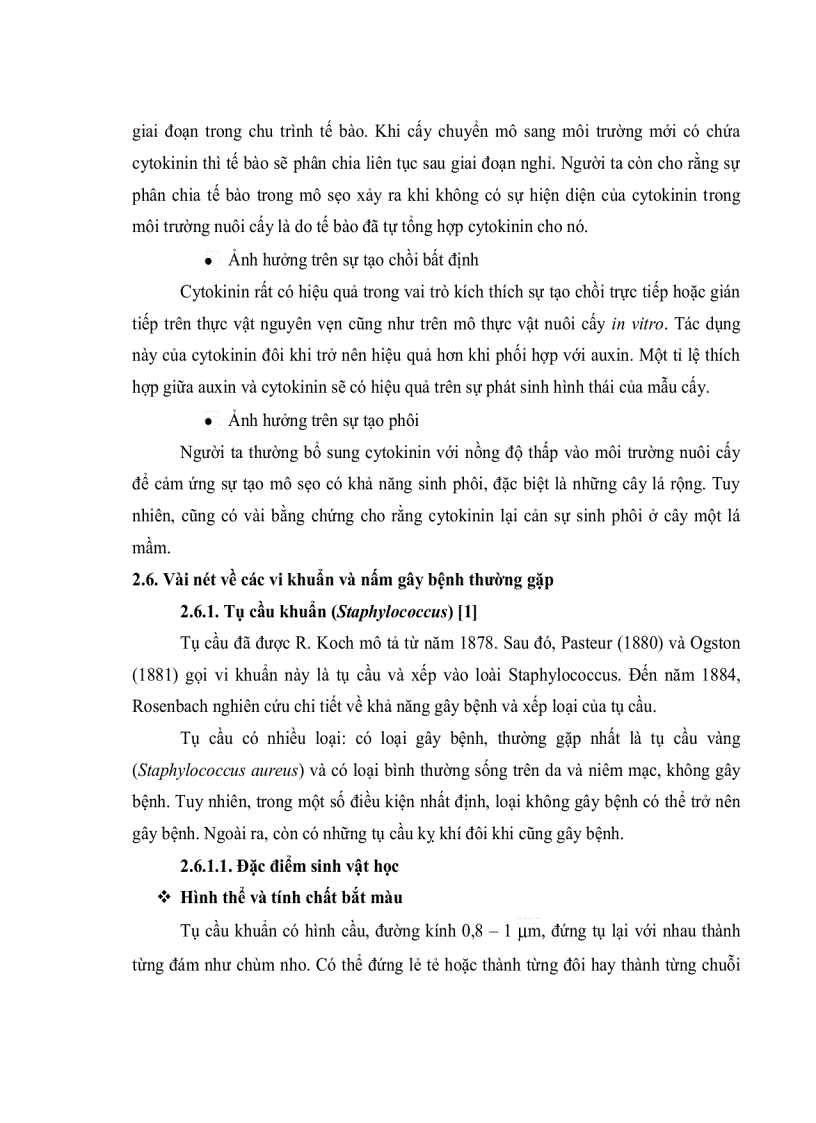 image for page Khảo sát hoạt tính kháng khuẩn và kháng nấm của các chất chiết thô từ cây lô hội Aloe vera và cây hoa phấn Mirabilis jalapa L nuôi cấy in vitro