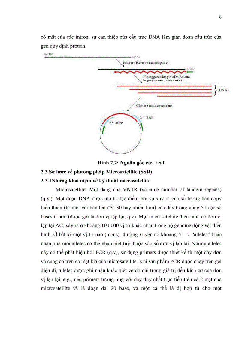 image for page Khai thác dữ liệu ests expressed sequence tags ở chi cam chanh citrus cho việc phát triển marker phân tử ssr simple sequence repeats