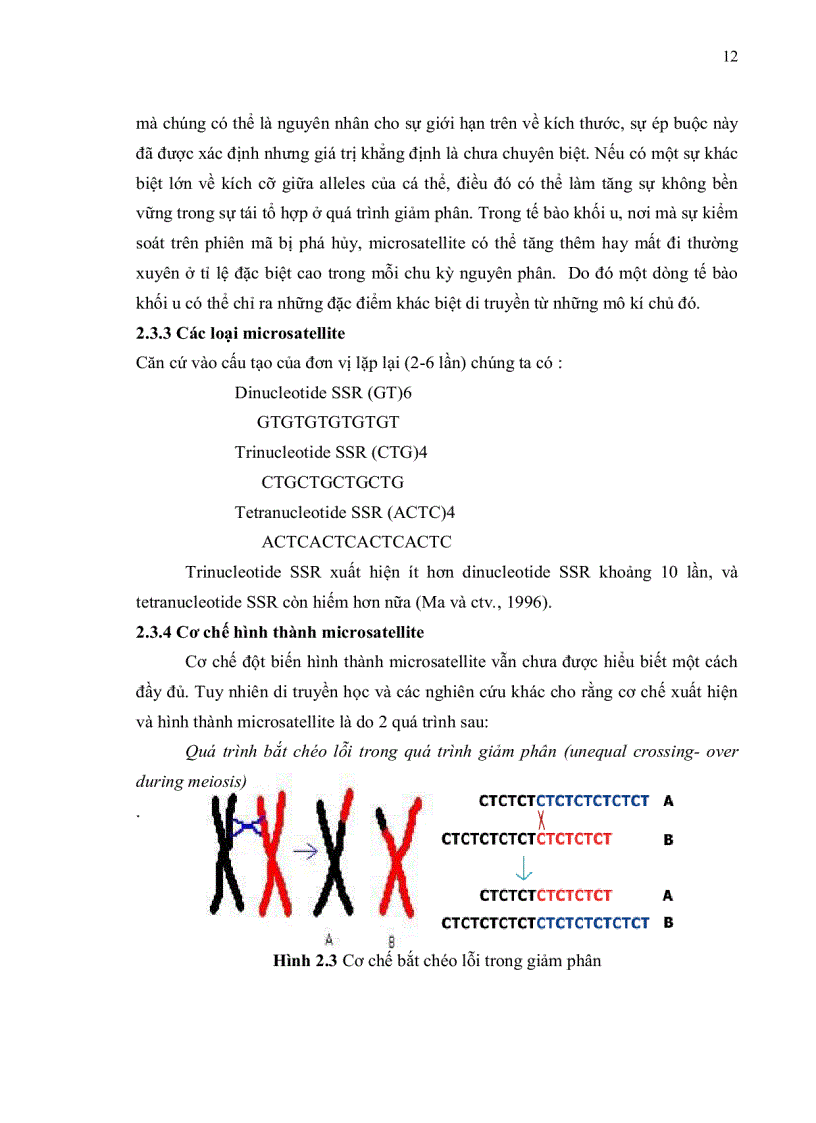 image for page Khai thác dữ liệu ests expressed sequence tags ở chi cam chanh citrus cho việc phát triển marker phân tử ssr simple sequence repeats