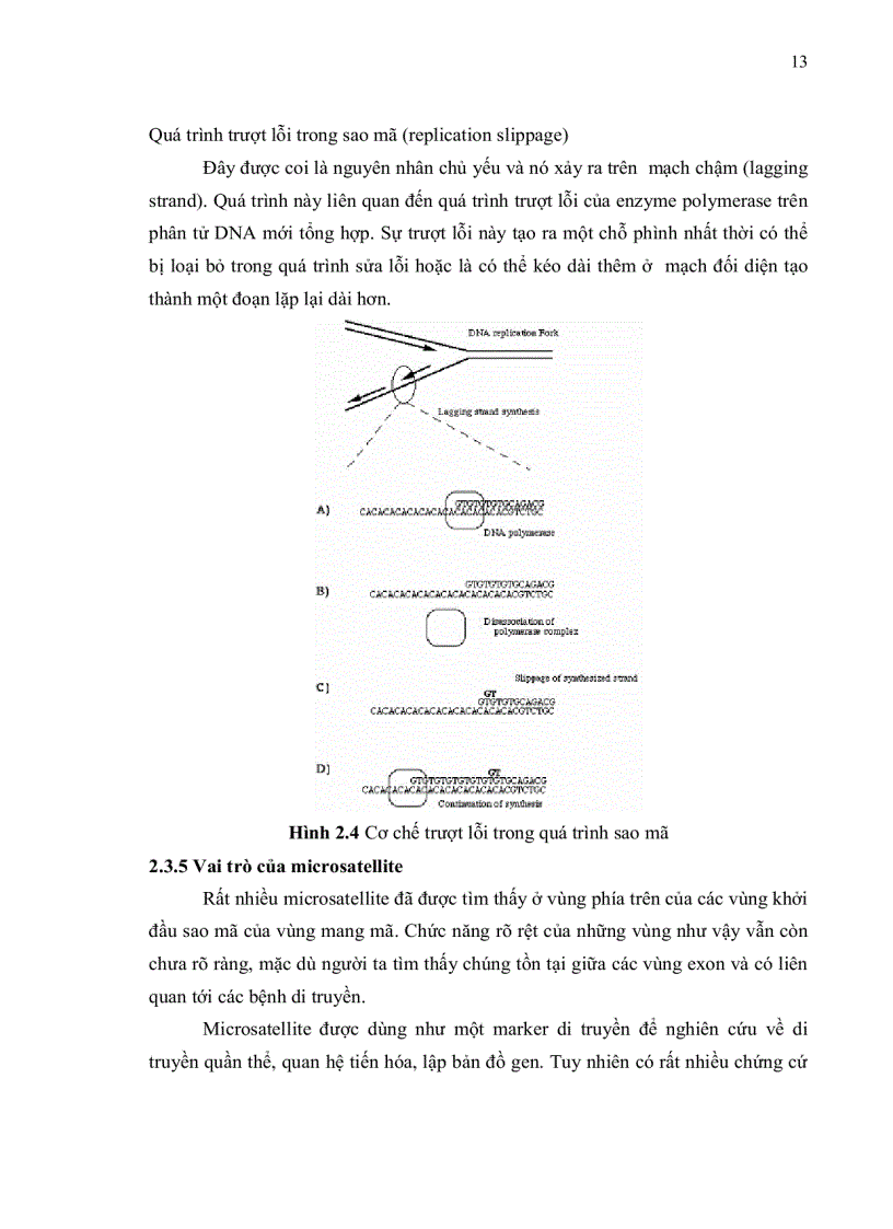 image for page Khai thác dữ liệu ests expressed sequence tags ở chi cam chanh citrus cho việc phát triển marker phân tử ssr simple sequence repeats