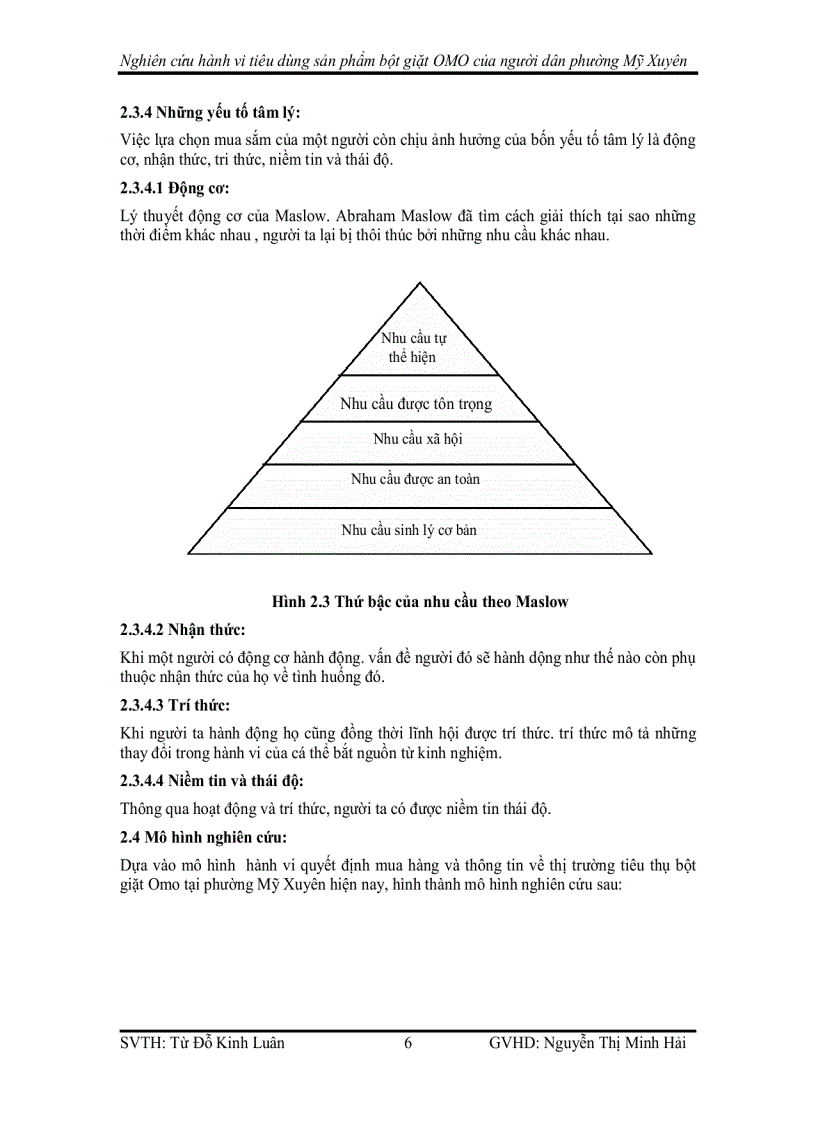 image for page Nghiên cứu hành vi tiêu dùng sản phẩm bột giặt omo của người dân phường mỹ xuyên