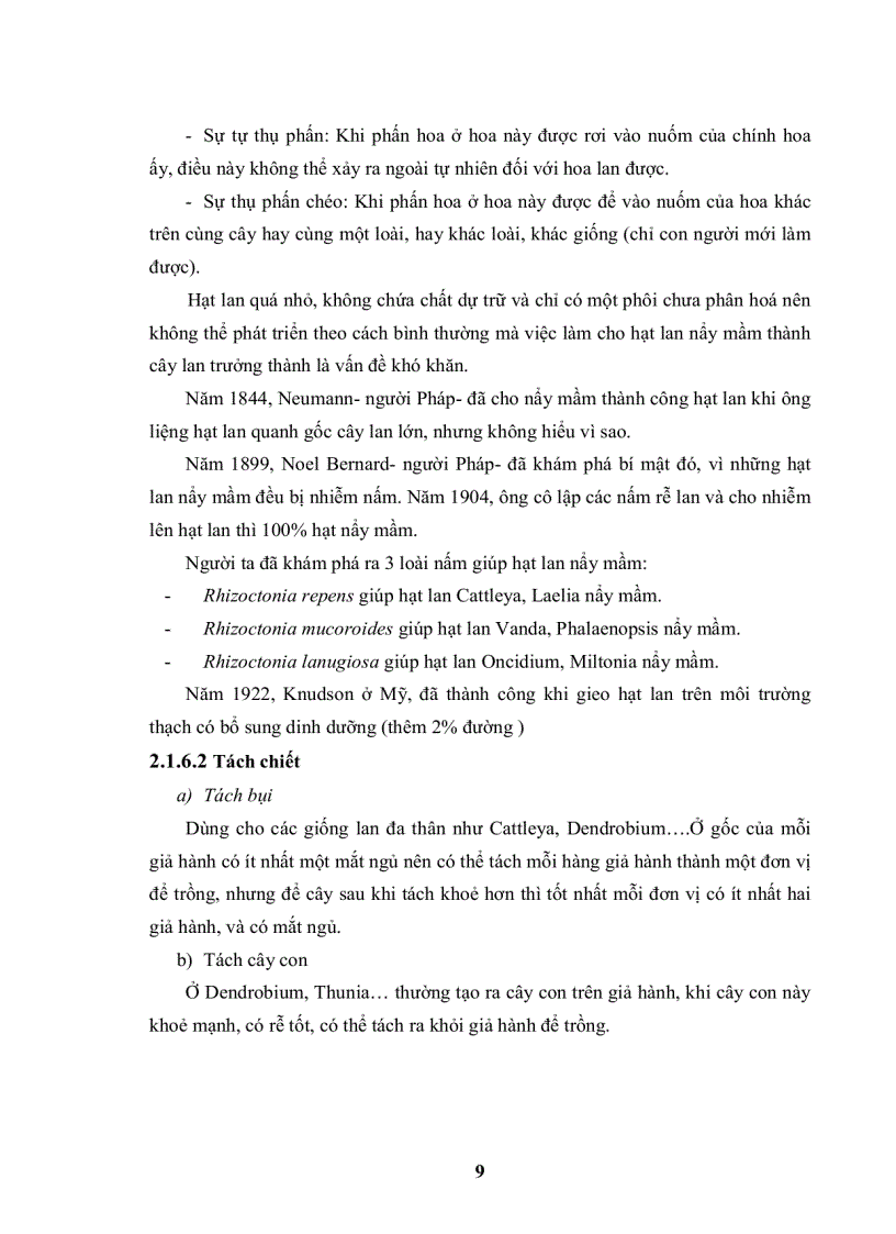 image for page Nghiên cứu kỹ thuật tạo hạt nhân tạo từ phôi cây lan vanda và bước đầu khảo sát sự hiện diện của mycorrhiza trên một số giống lan