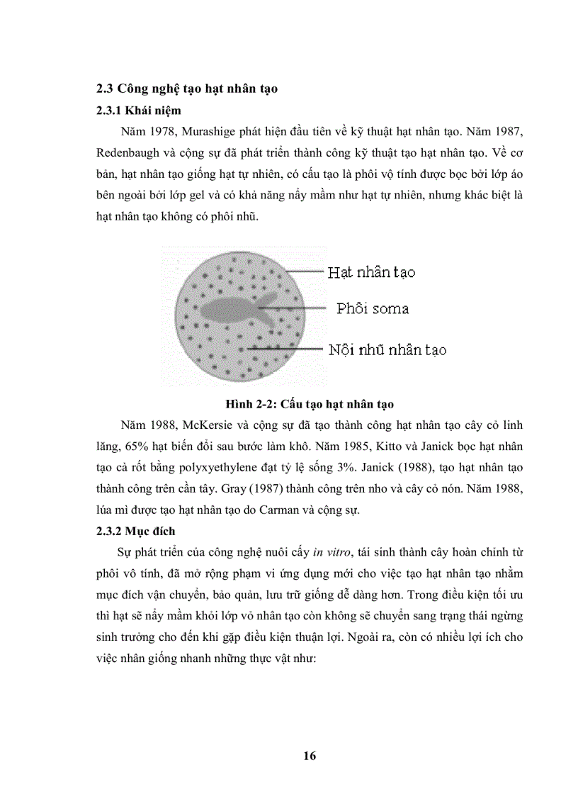 image for page Nghiên cứu kỹ thuật tạo hạt nhân tạo từ phôi cây lan vanda và bước đầu khảo sát sự hiện diện của mycorrhiza trên một số giống lan