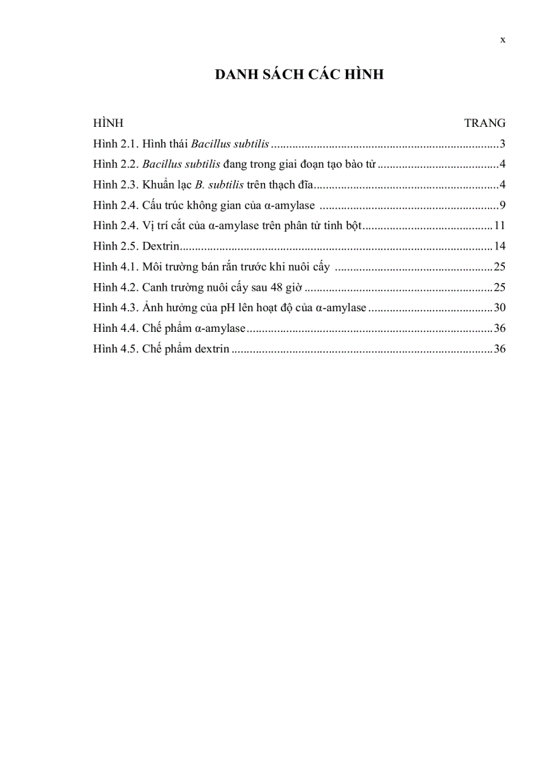 image for page Nuôi cấy Bacillus subtilis thu nhận α amylase và ứng dụng trong sản xuất dextri