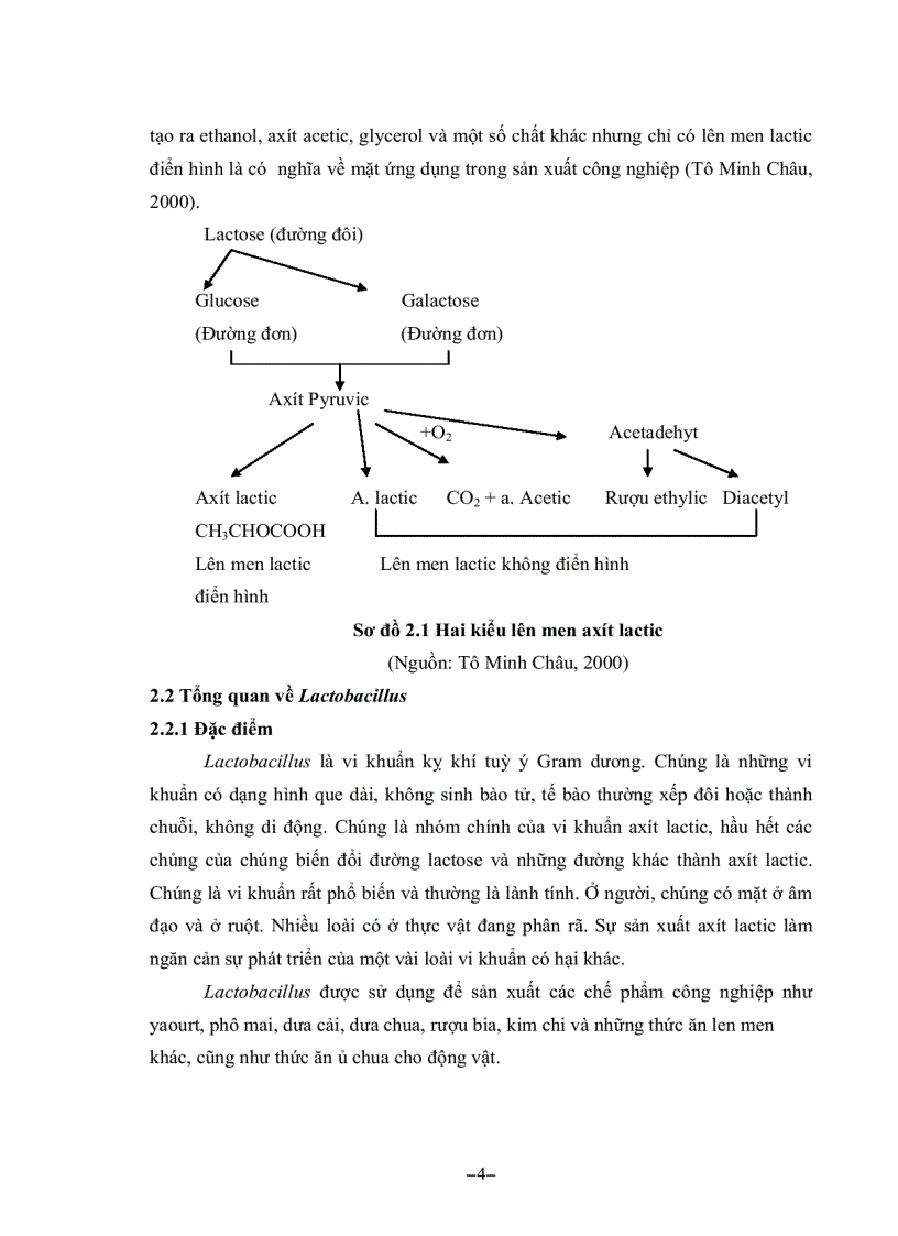 image for page Khảo sát khả năng sinh axít lactic và tính kháng của Lactobacillus acidophilus đối với vi khuẩn E coli dùng để sản xuất chế phẩm probiotic