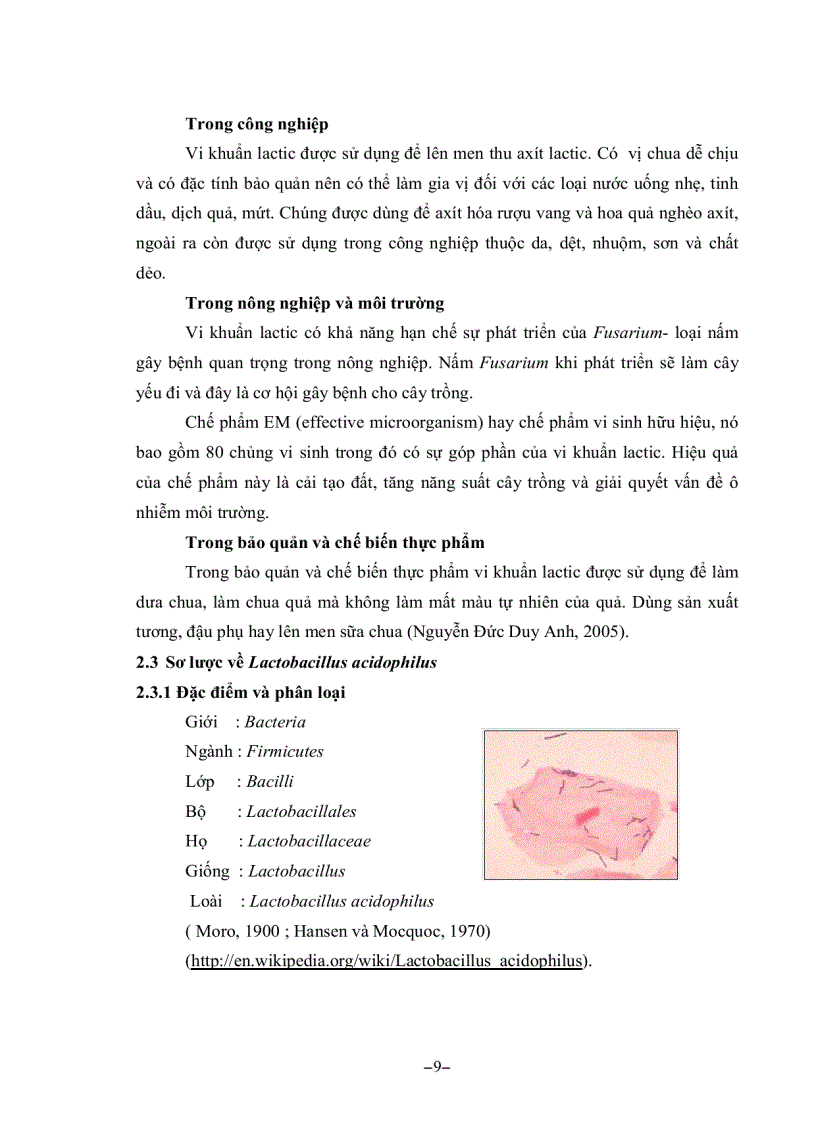 image for page Khảo sát khả năng sinh axít lactic và tính kháng của Lactobacillus acidophilus đối với vi khuẩn E coli dùng để sản xuất chế phẩm probiotic