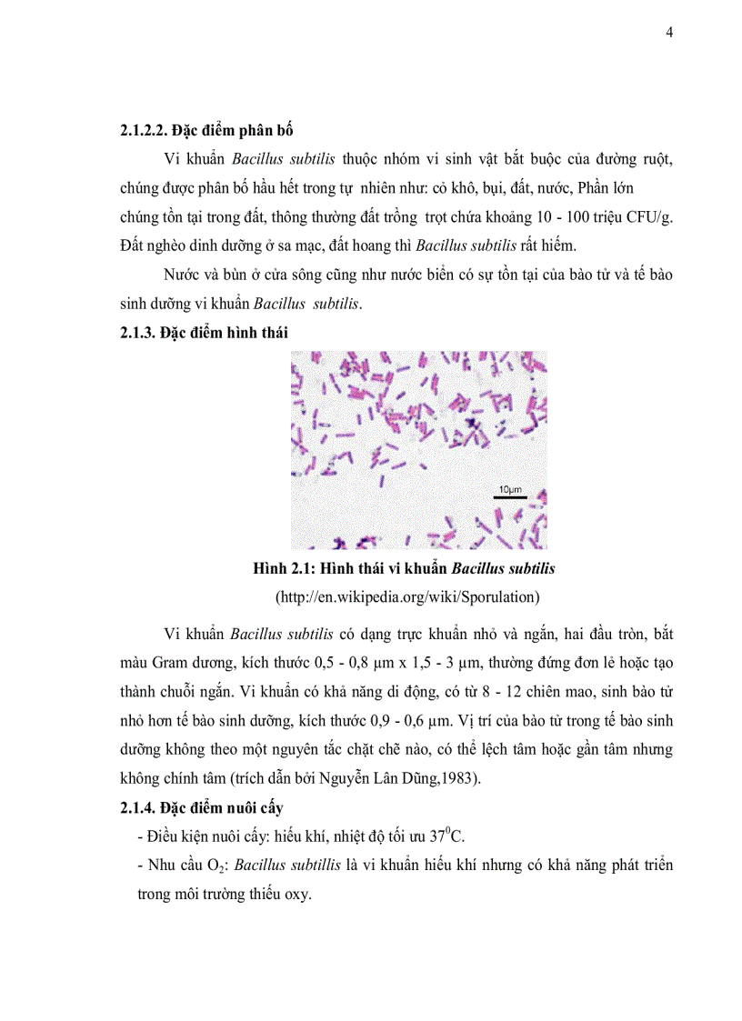 image for page Phân lập vi khuẩn Bacillus subtilis từ đất khảo sát khả năng ức chế sản sinh aflatoxin của các chủng phân lập được