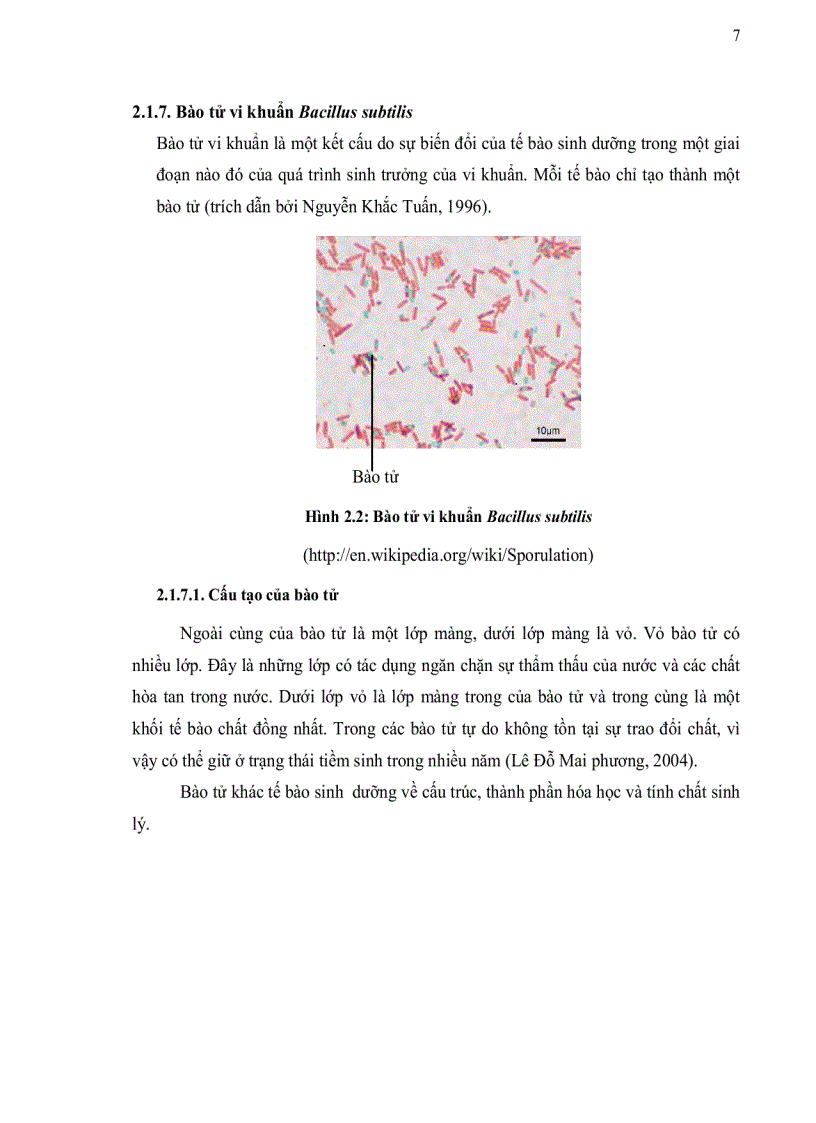 image for page Phân lập vi khuẩn Bacillus subtilis từ đất khảo sát khả năng ức chế sản sinh aflatoxin của các chủng phân lập được
