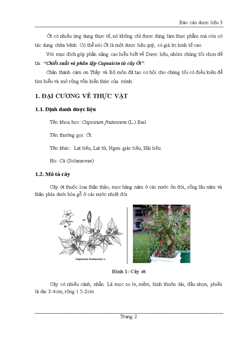 image for page Chiết xuất và phân lập Capsaicin từ cây Ớt
