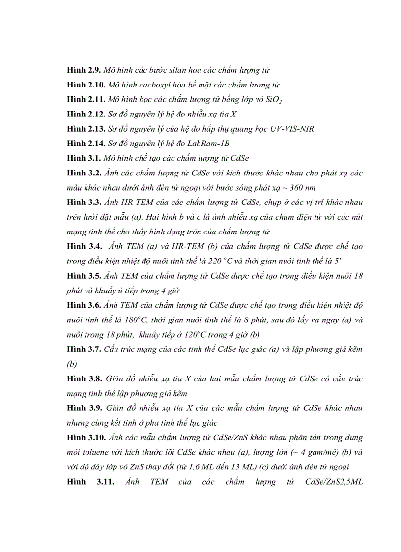 image for page Tiến sĩ khoa học vật liệu Nghiên cứu chế tạo tính chất quang của các chấm lượng tử CdSe với cấu trúc lõi vỏ và định hướng ứng dụng