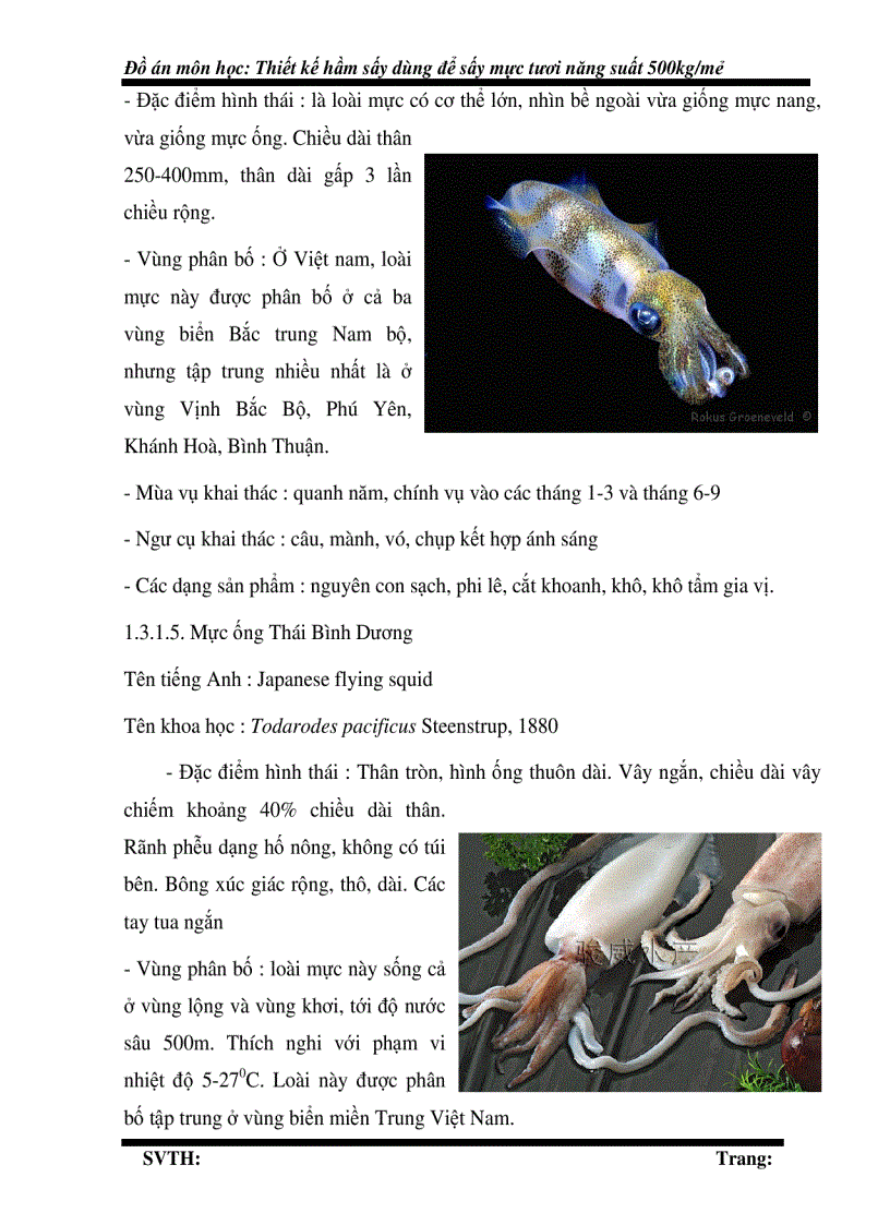 image for page Thiết kế hầm sấy để sấy mực tươi năng suất 500kg mẻ bản vẽ công nghệ