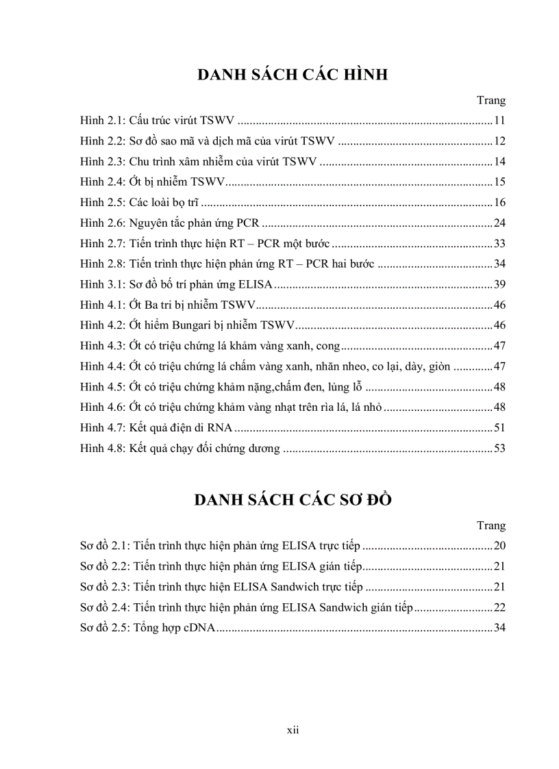 image for page Nghiên cứu hiện trạng nhiễm bệnh tswv Tomato spotted wilt virus trên cây ớt bằng kỹ thuật elisa và bước đầu xây dựng phương pháp chẩn đoán bằng kỹ thuật rt pcr