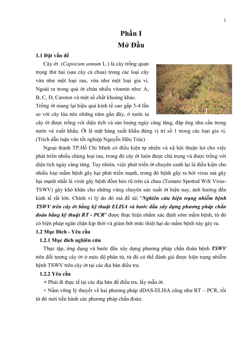 image for page Nghiên cứu hiện trạng nhiễm bệnh tswv Tomato spotted wilt virus trên cây ớt bằng kỹ thuật elisa và bước đầu xây dựng phương pháp chẩn đoán bằng kỹ thuật rt pcr