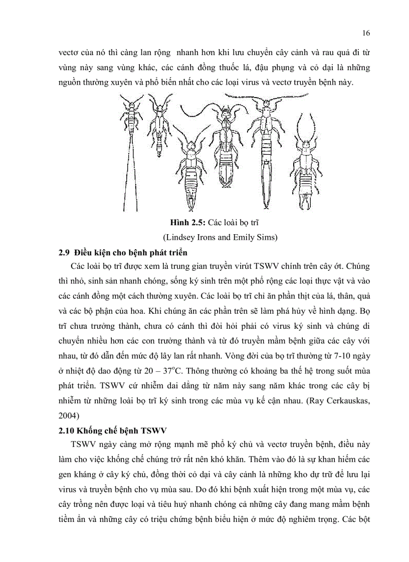 image for page Nghiên cứu hiện trạng nhiễm bệnh tswv Tomato spotted wilt virus trên cây ớt bằng kỹ thuật elisa và bước đầu xây dựng phương pháp chẩn đoán bằng kỹ thuật rt pcr
