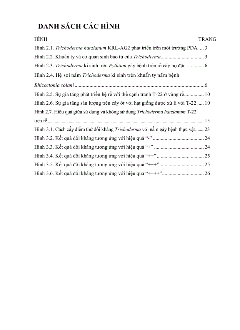 image for page Bước đầu khảo sát mối liên hệ giữa sự hiện diện Trichoderma và các yếu tố của đất