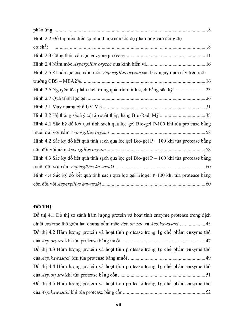 image for page Khảo sát hoạt tính và tinh sạch protease từ hai chủng nấm mốc aspergillus oryzae và aspergillus kawasaki trên môi trường