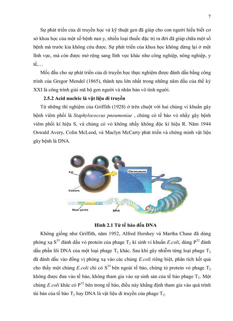 image for page Xác định sự hiện diện của các kiểu gen Prolactin receptor trên một số giống heo công nghiệp bằng phương pháp PCR RFLP